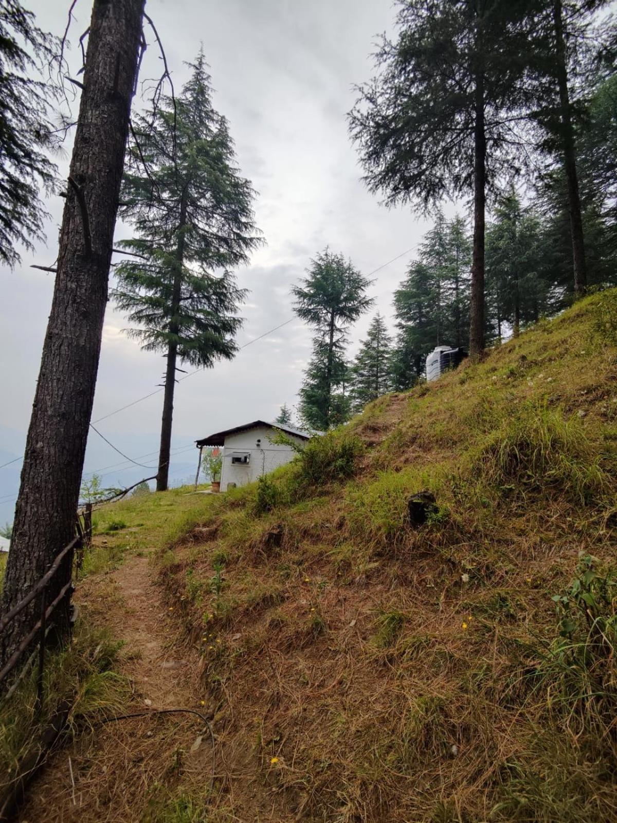 Little Himalayan Abode Villa Almora Esterno foto